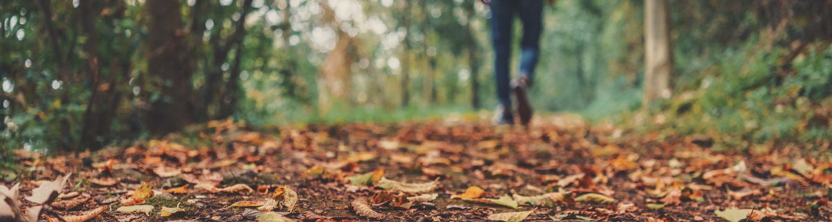 oligoelementos esenciales otoño